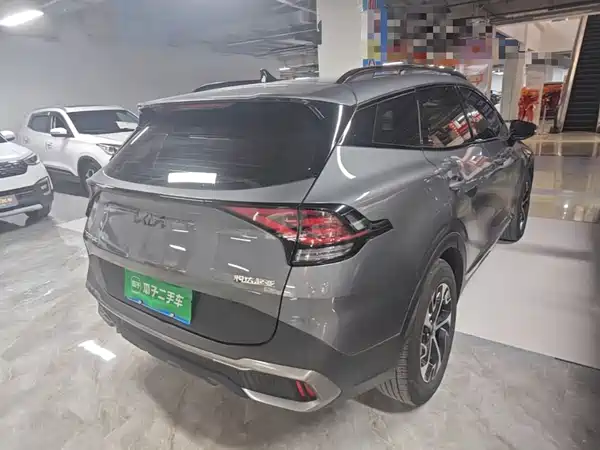 Kia Lion Platinum Expands The Boundary 2024