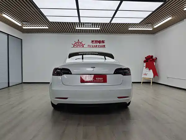 Tesla Model 3 2020