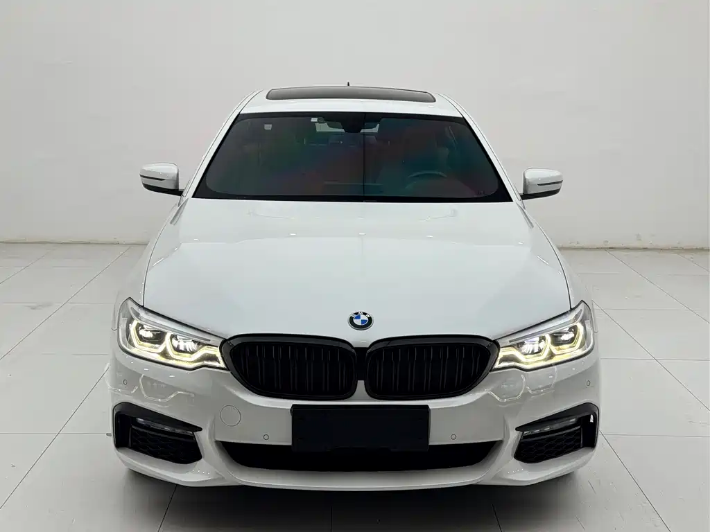 BMW 5 Series 2018 — фото 14