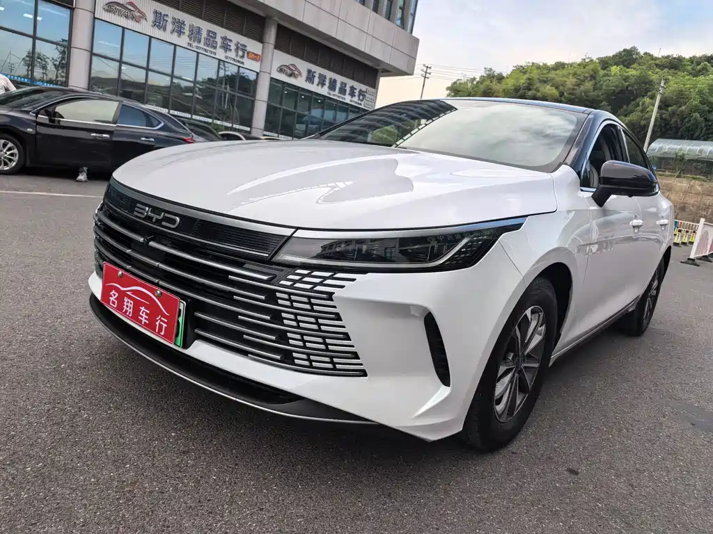 BYD Destroyer 05 2024 — фото 1