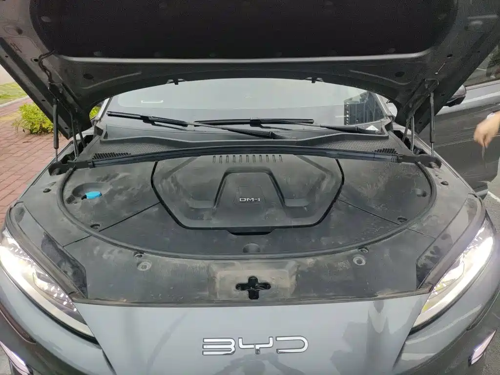 BYD Song PLUS New Energy 2023 — фото 11