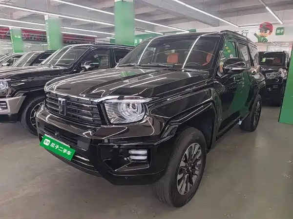 Tank 700 New Energy 2025