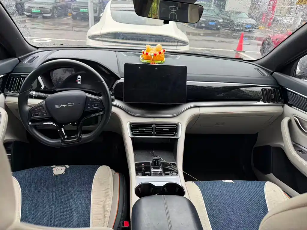 BYD PLUS New Energy 2024 — фото 12