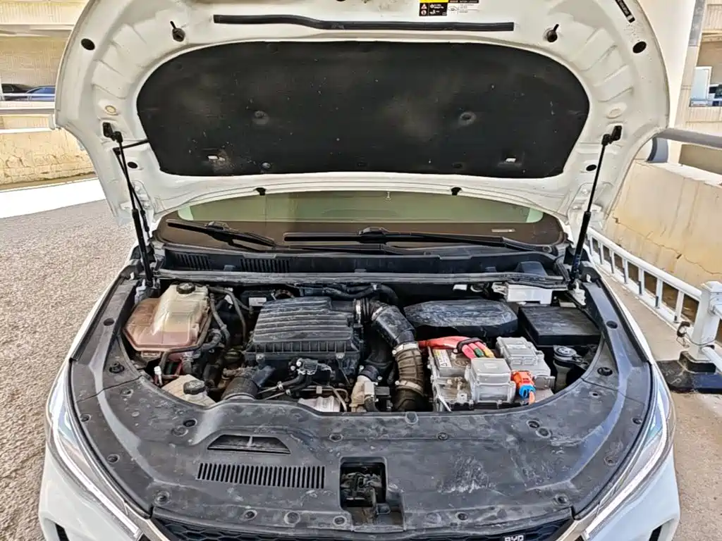 BYD Song MAX New Energy 2020 — фото 20