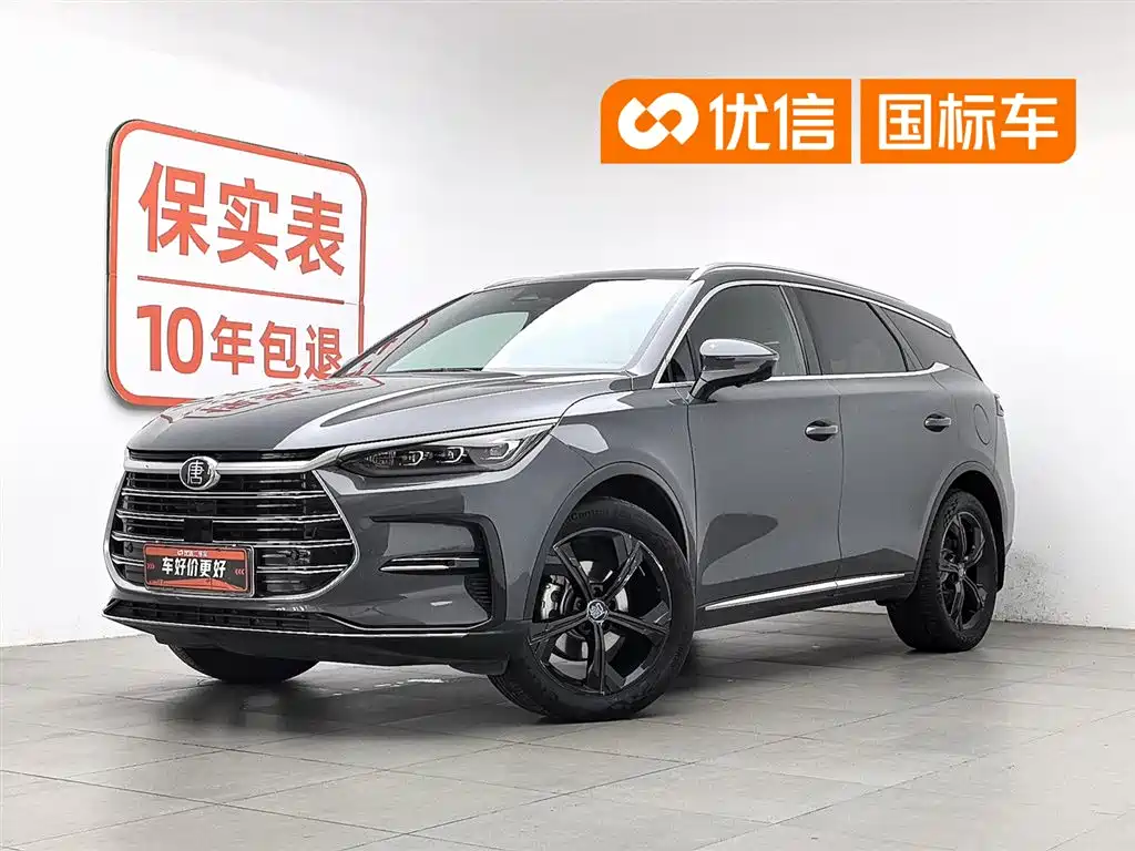 BYD Tang New Energy 2023 — фото 1