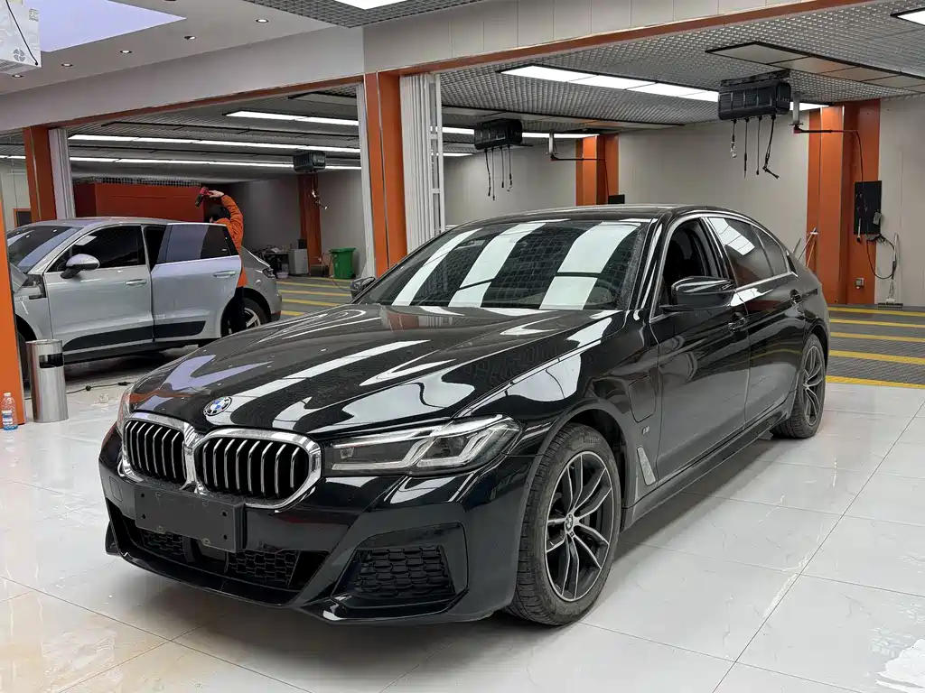 BMW 5 Series New Energy 2021