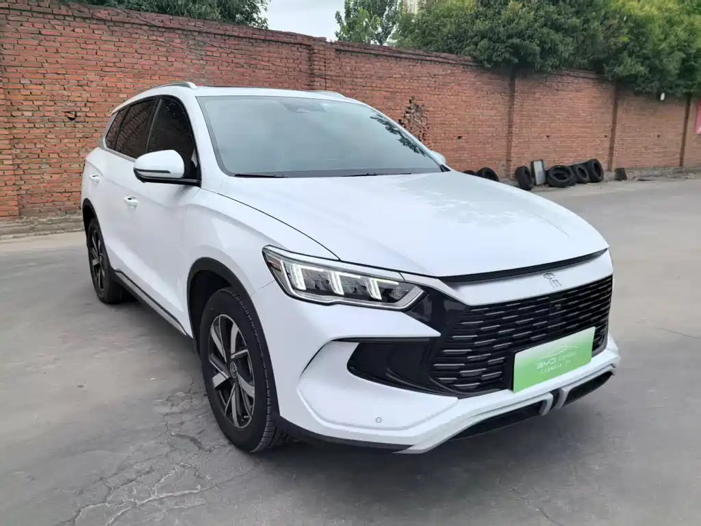 BYD Pro New Energy 2024 — фото 2