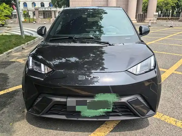 BYD Seagull 2024