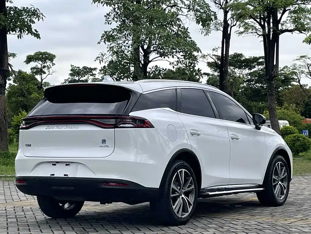 BYD Tang New Energy 2019 — фото 9