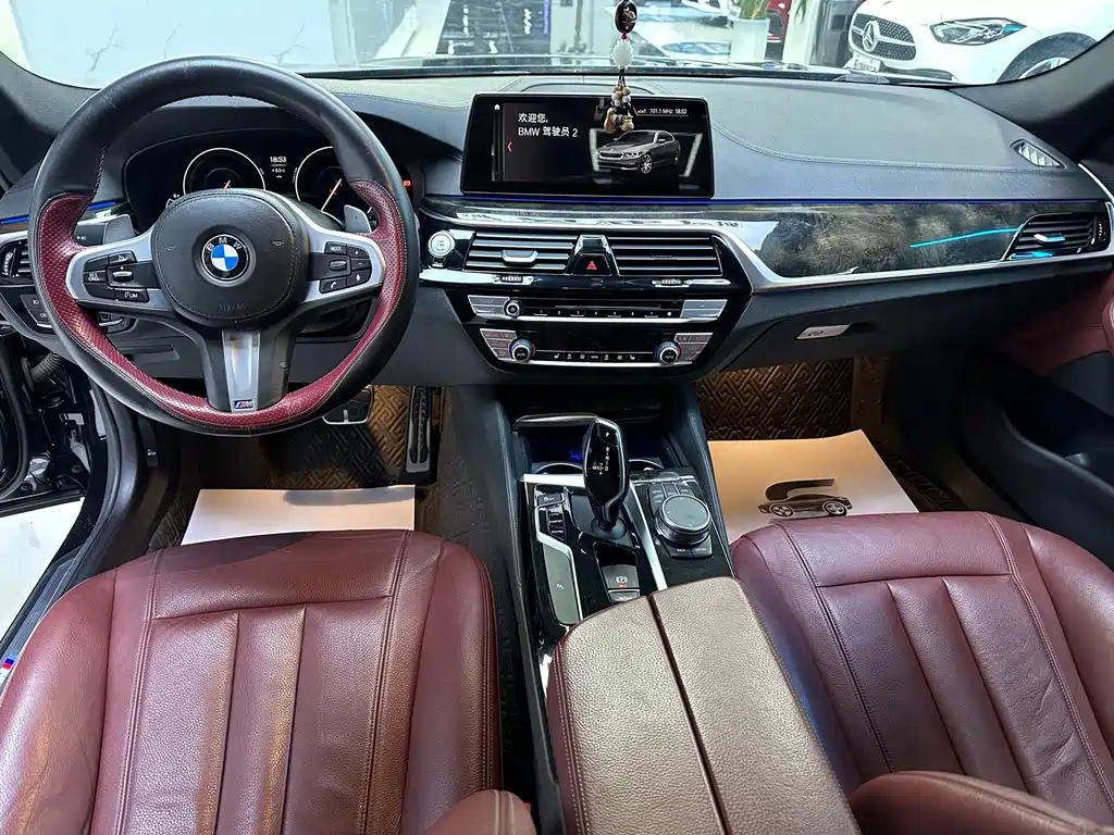 BMW 5 Series 2019 — фото 6
