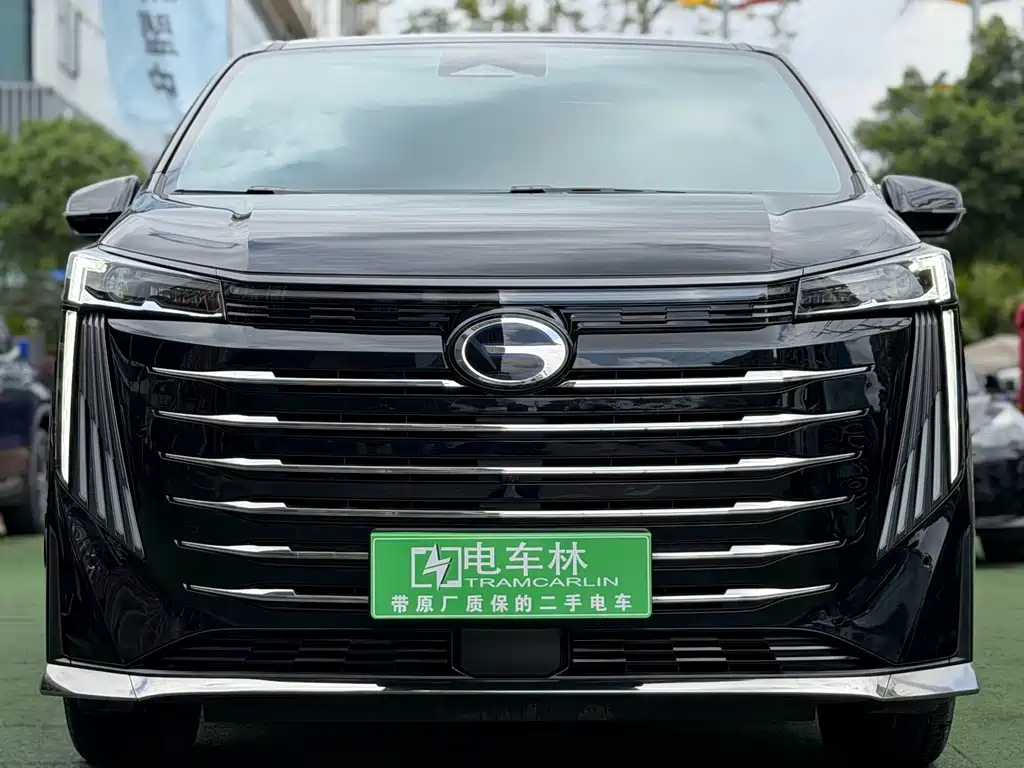 GAC Motor Trumpchi E9 2024 — фото 2