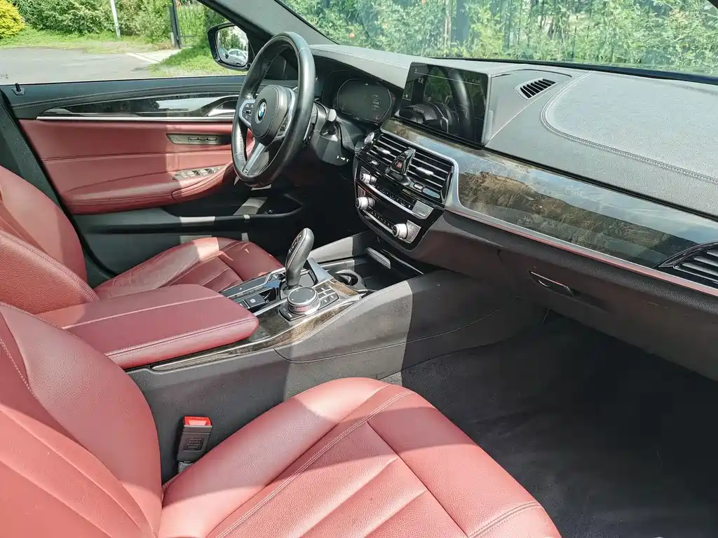 BMW 5 Series 2020 — фото 16