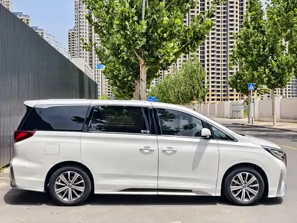 GAC Trumpchi M8 2020