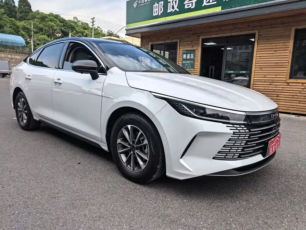 BYD Destroyer 05 2024 — фото 2