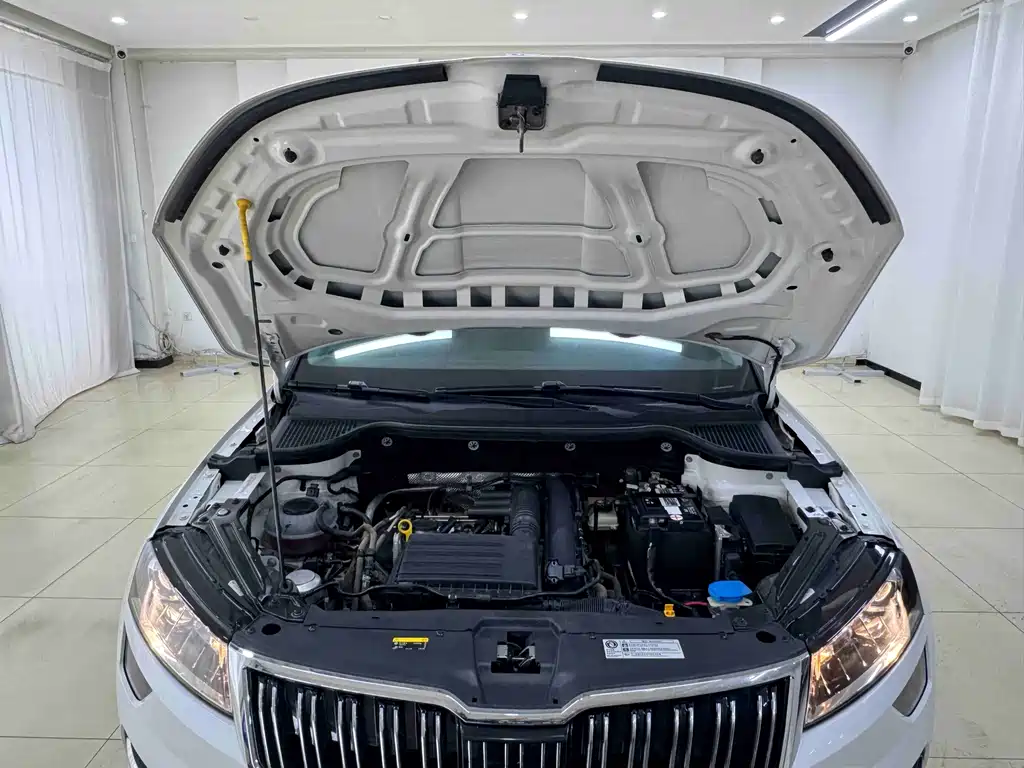 Skoda Karoq 2021 — фото 19