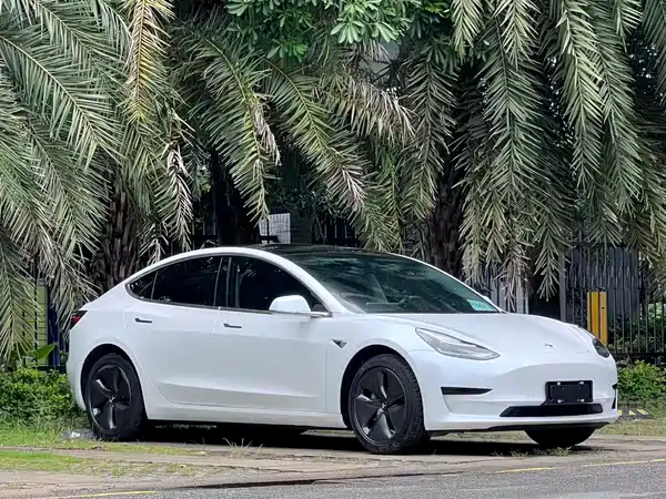 Tesla Model 3 2019
