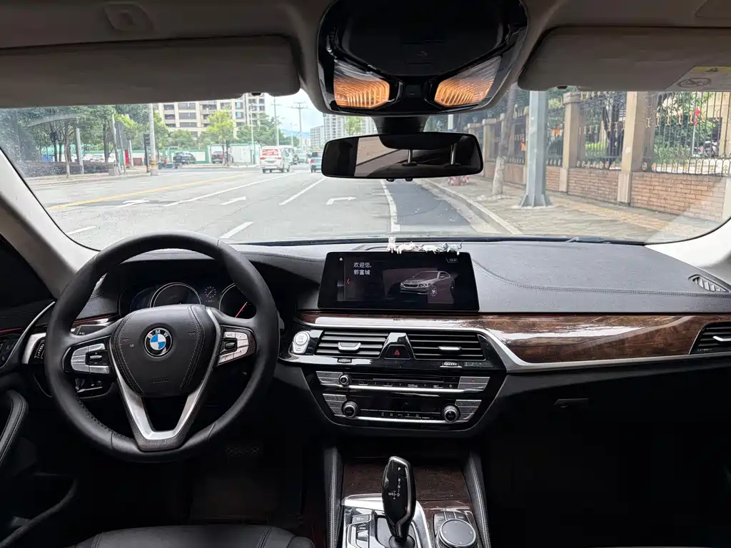 BMW 5 Series 2018 — фото 18