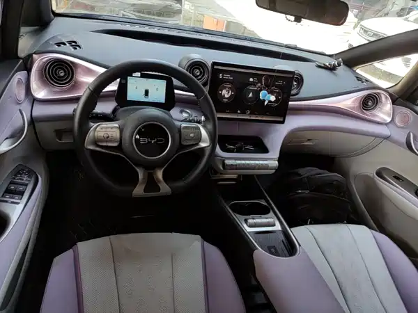 BYD Dolphin 2024