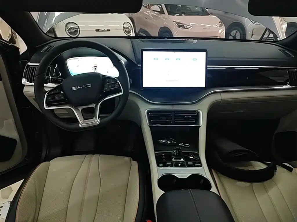 BYD PLUS New Energy 2024 — фото 10