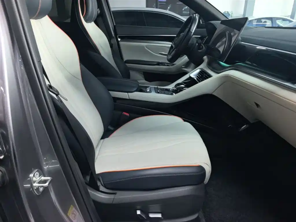BYD PLUS New Energy 2023 — фото 25