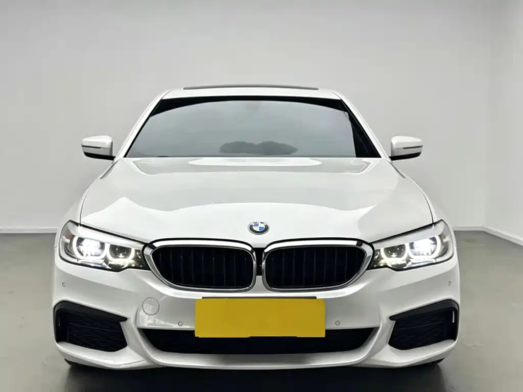 BMW 5 Series 2019