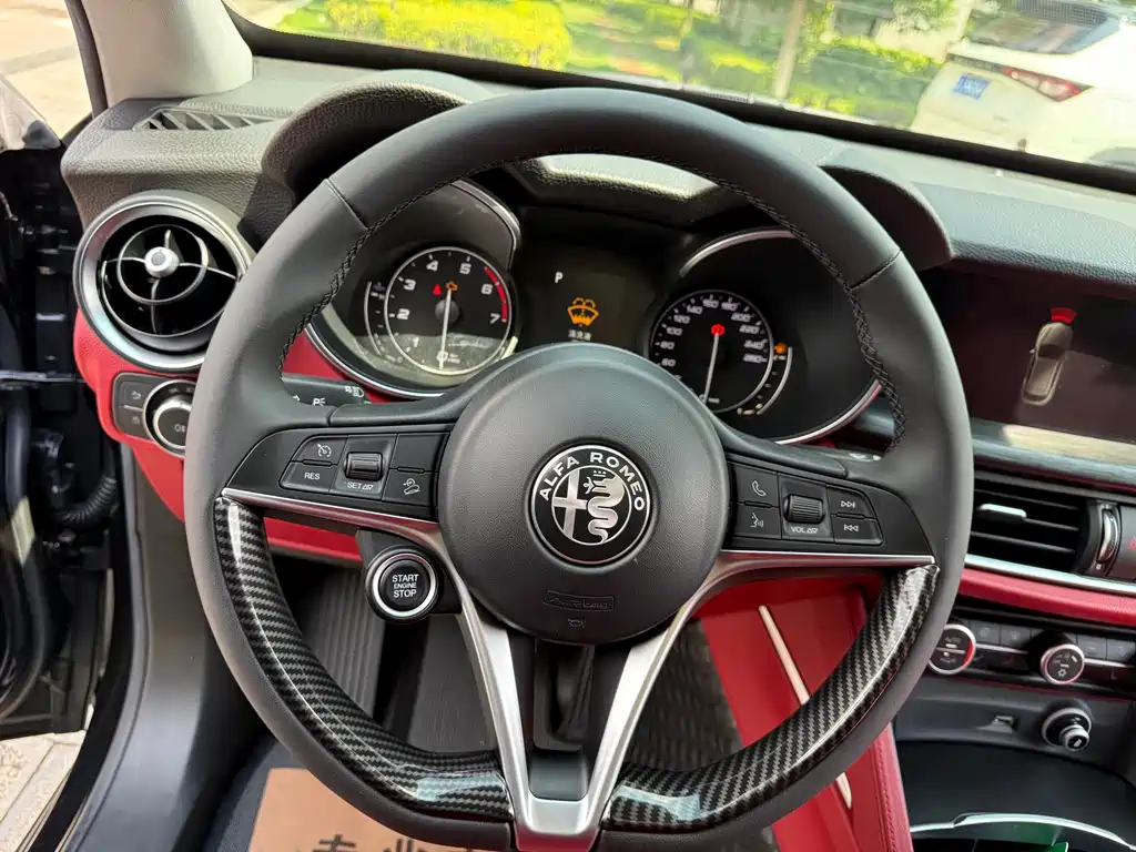 Alfa Romeo Stelvio 2019 — фото 23