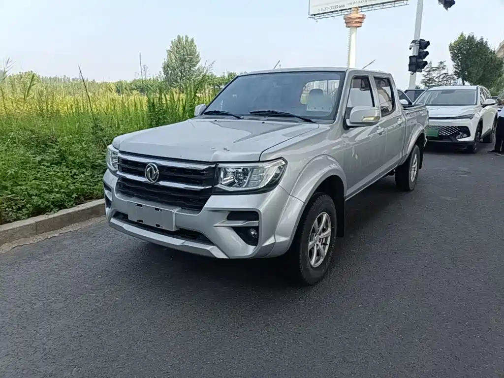 Dongfeng Ruiqi 2023