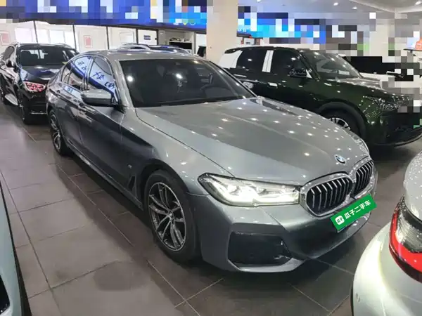 BMW 5 Series 2022
