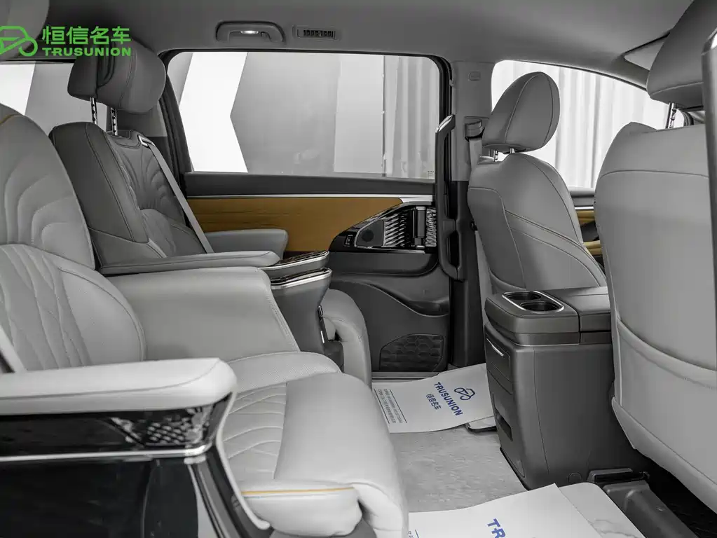 GAC Motor Trumpchi E9 2024 — фото 14