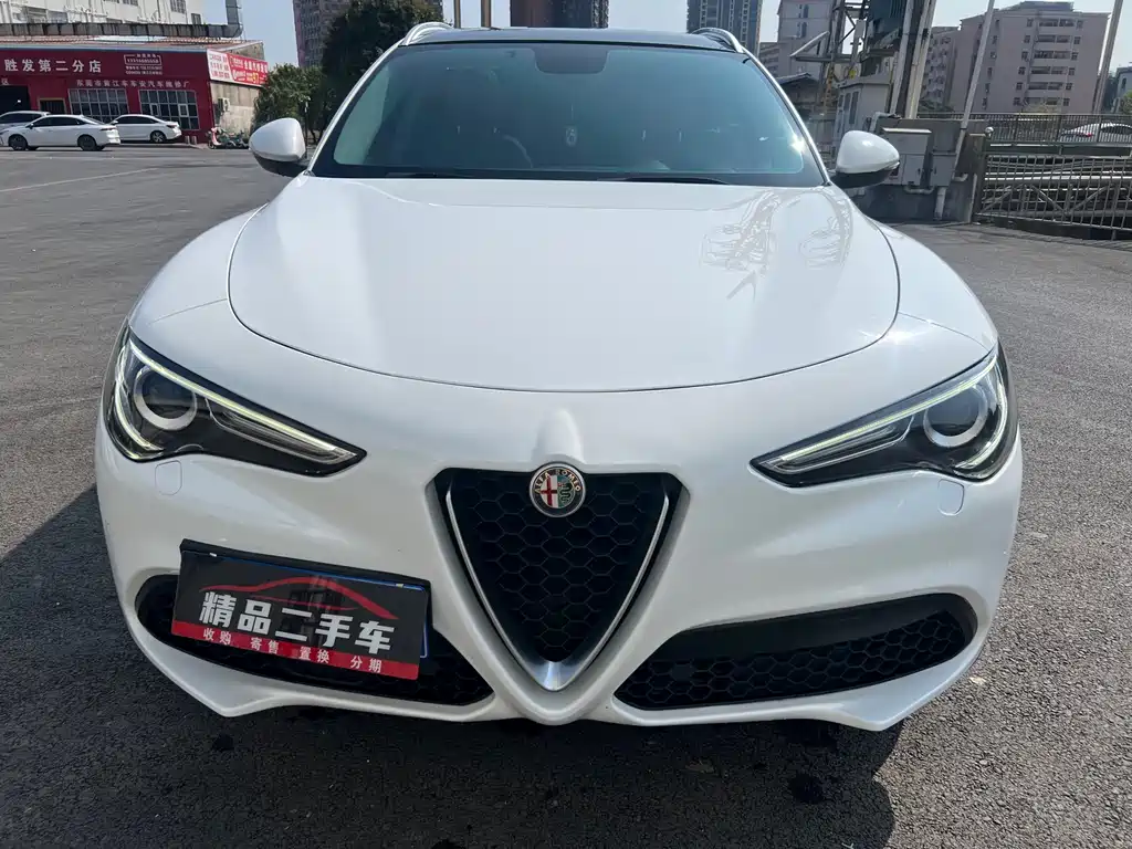 Alfa Romeo Stelvio 2019 — фото 2