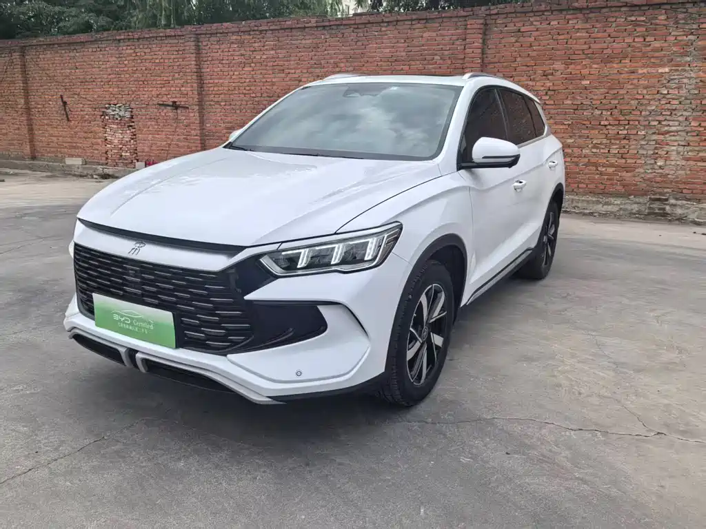 BYD Pro New Energy 2024 — фото 1