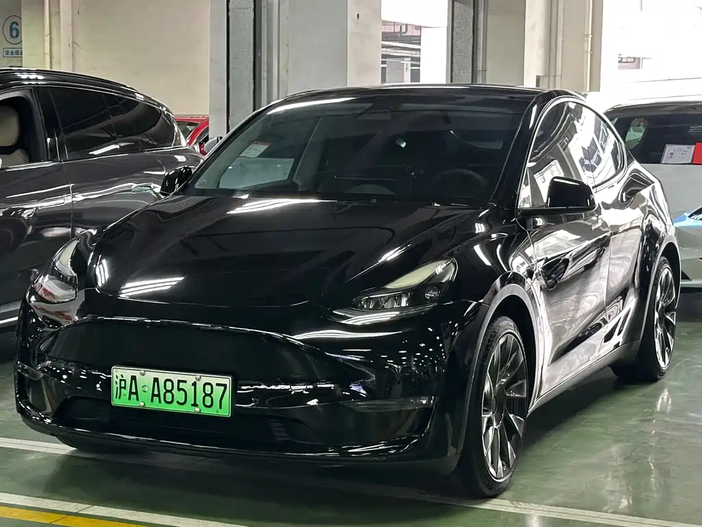 Tesla Model Y 2021 — фото 1