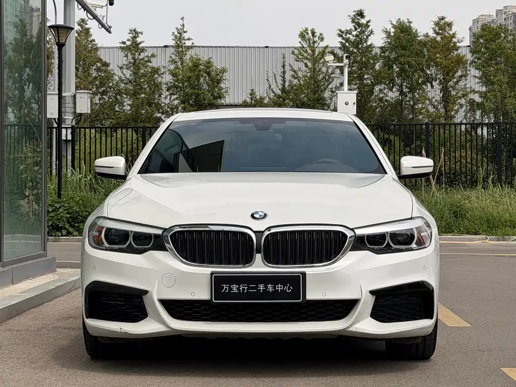 BMW 5 Series 2019