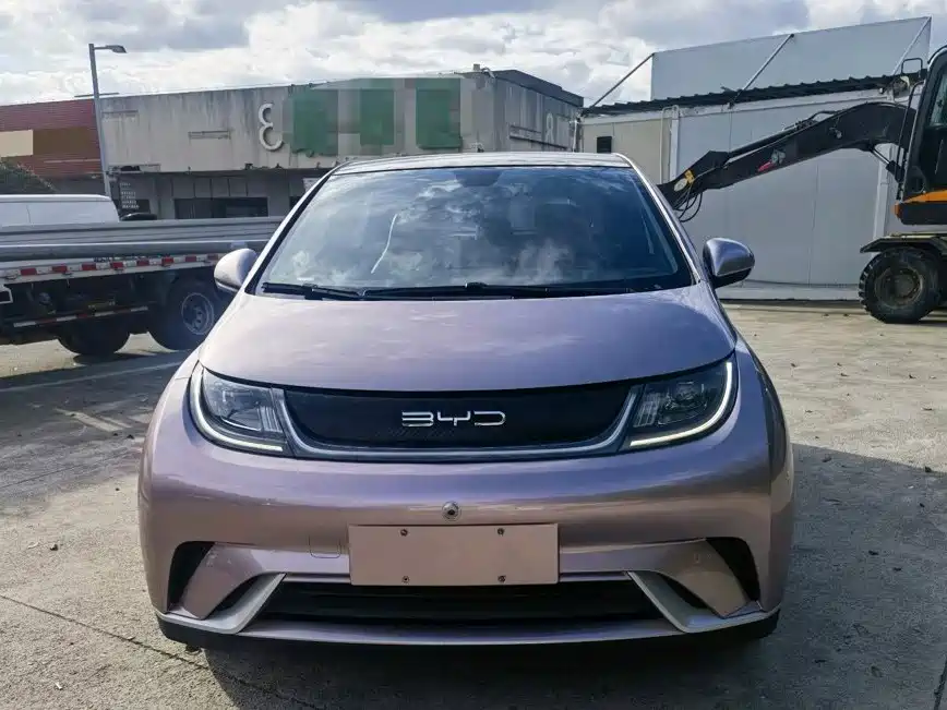 BYD Dolphin 2022