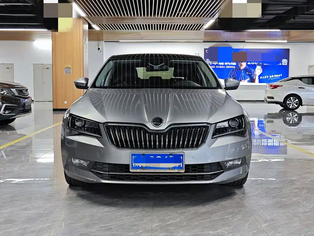 Skoda Speedy 2017
