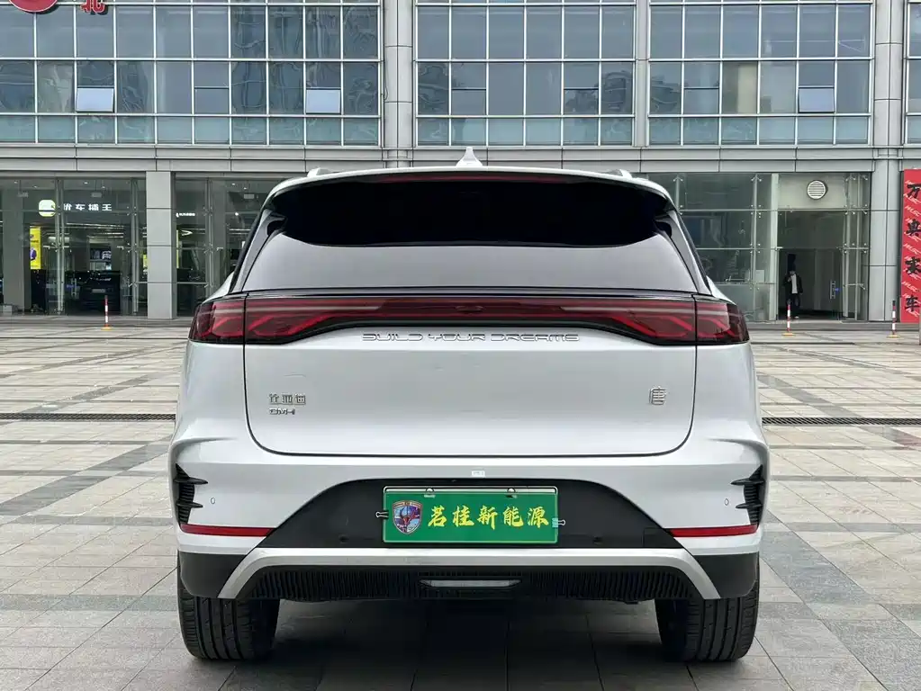 BYD Tang New Energy 2024 — фото 15