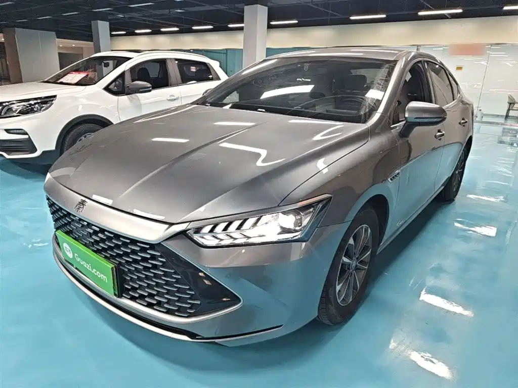 BYD Qin PLUS 2024 — фото 1