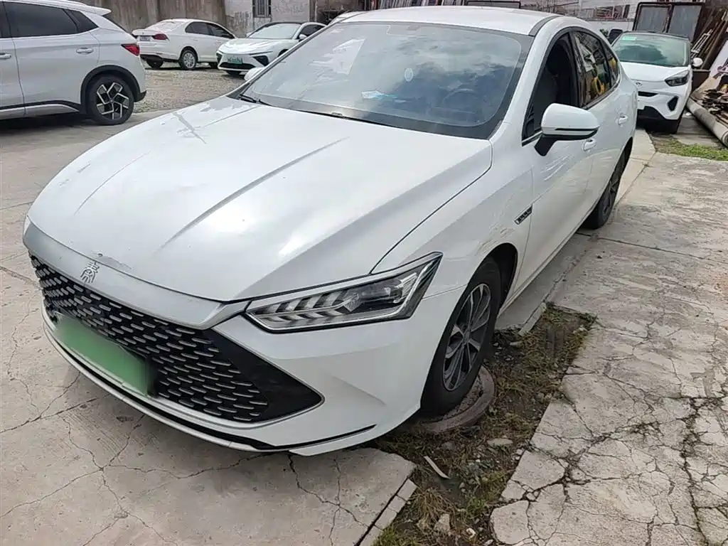 BYD Qin PLUS 2024 — фото 1