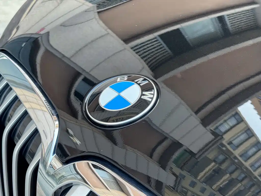 BMW X7 2021 — фото 13