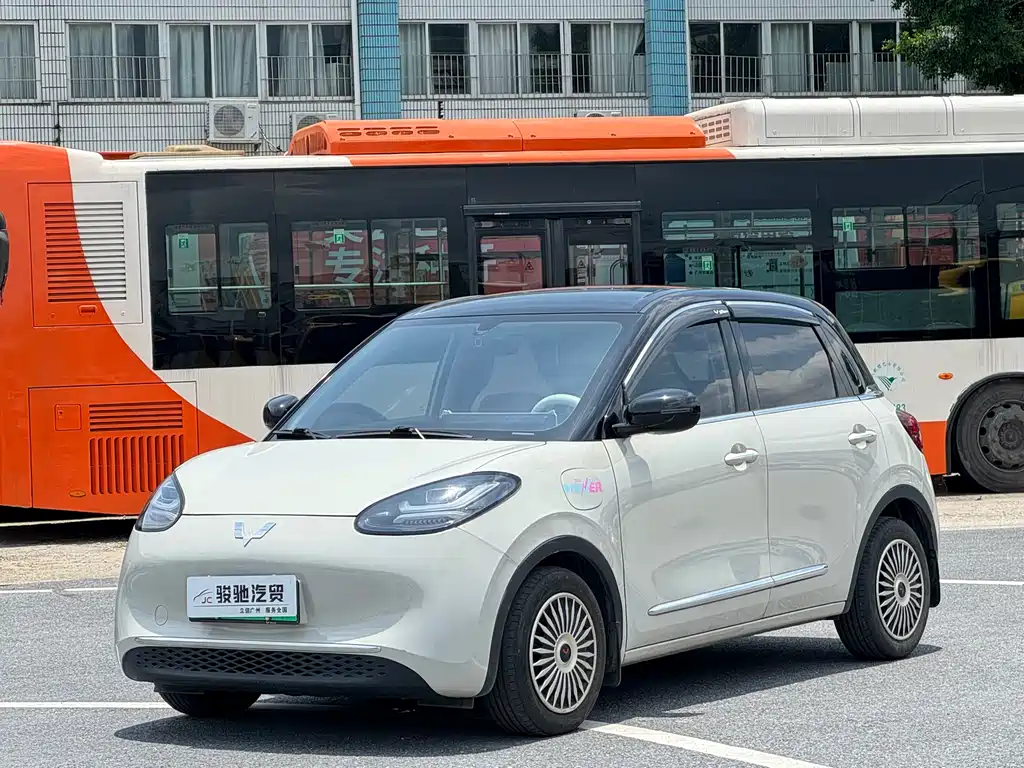 Wuling Bingo 2024