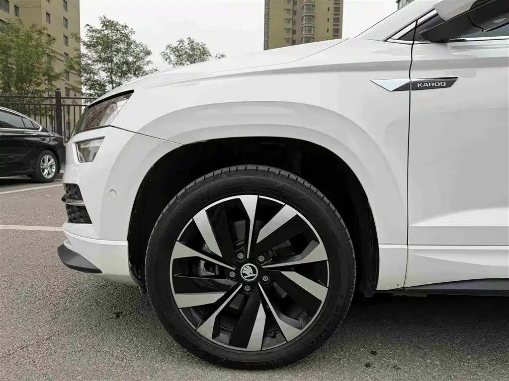 Skoda Karoq 2022 — фото 14