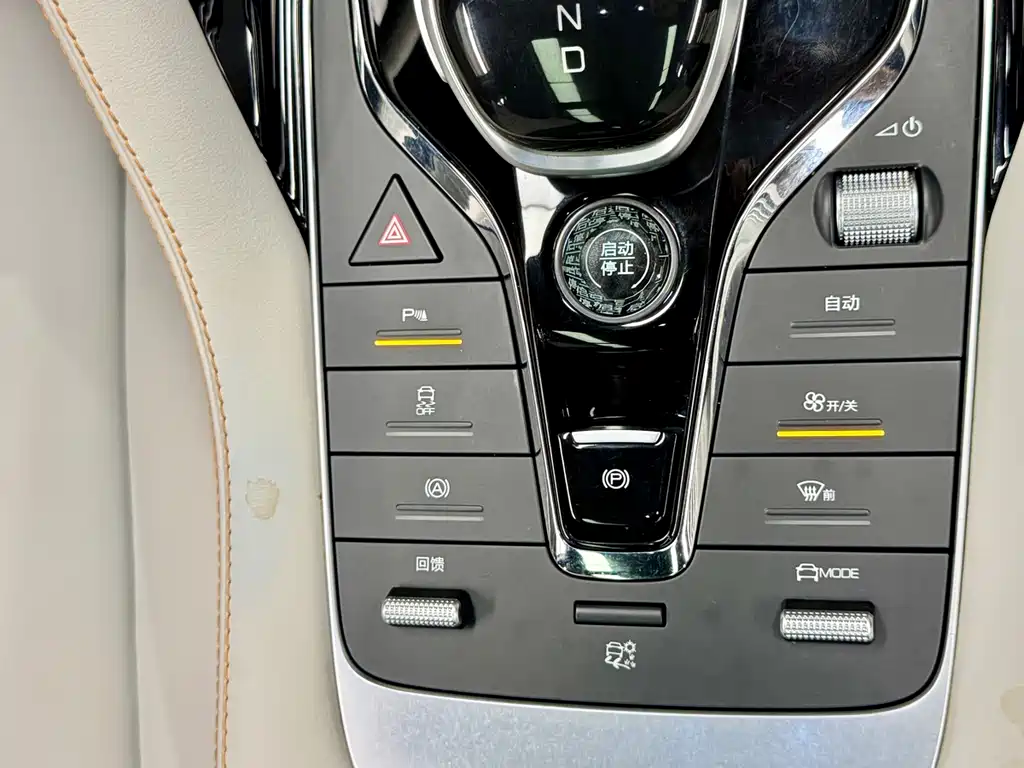 BYD PLUS New Energy 2023 — фото 14