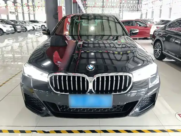 BMW 5 Series 2021