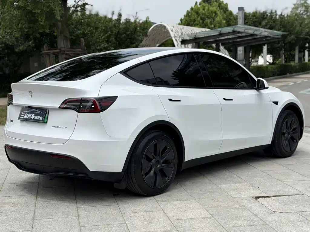 Tesla Model Y 2024 — фото 9