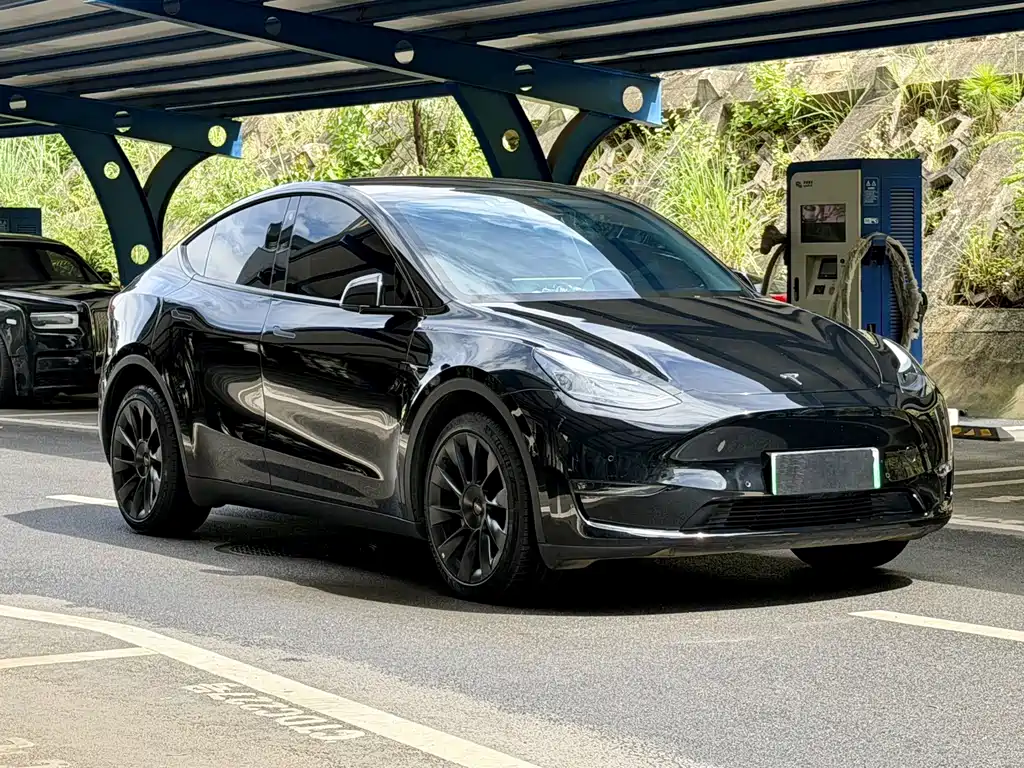 Tesla Model Y 2023 — фото 3
