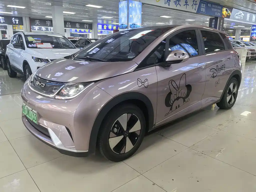 BYD Dolphin 2024