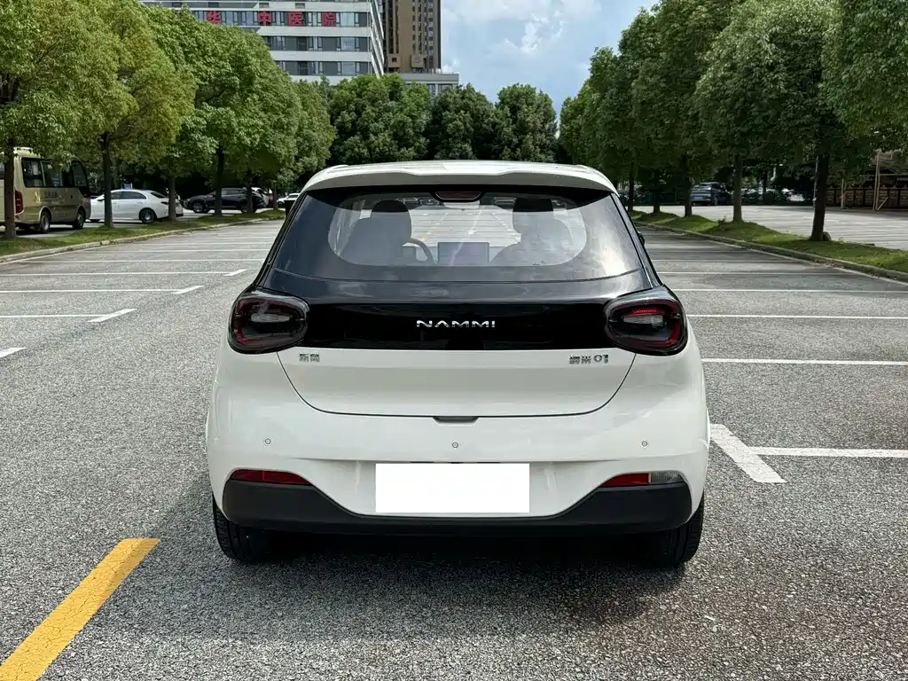 Dongfeng Nano 01 2025