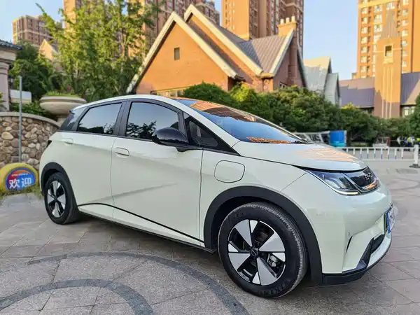 BYD Dolphin 2024