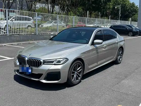 BMW 5 Series 2021