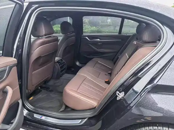 BMW 5 Series 2021